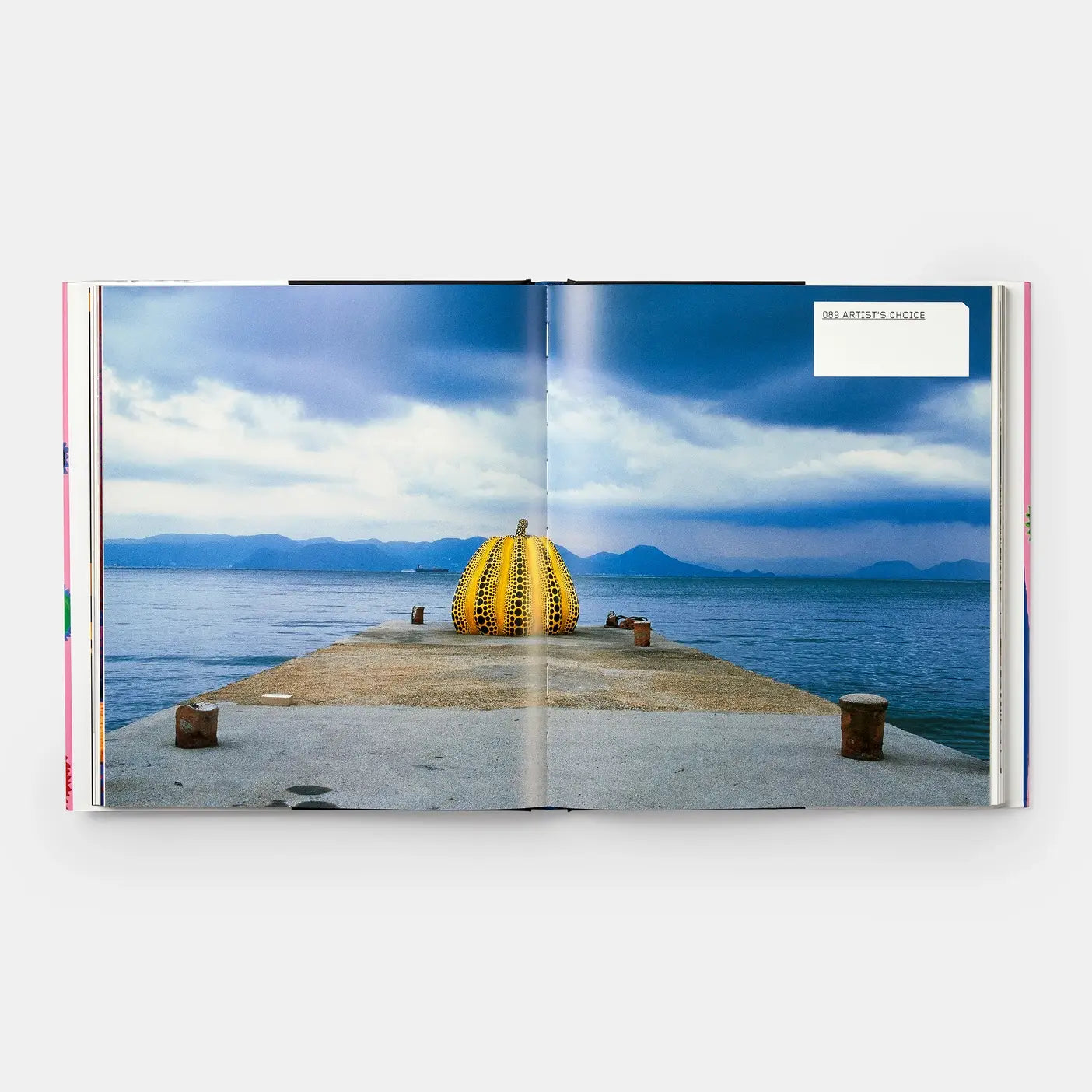 Yayoi Kusama Book