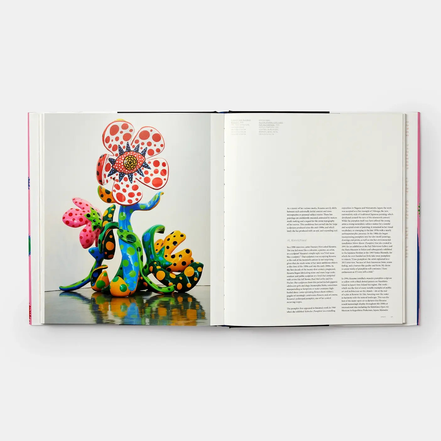 Yayoi Kusama Book